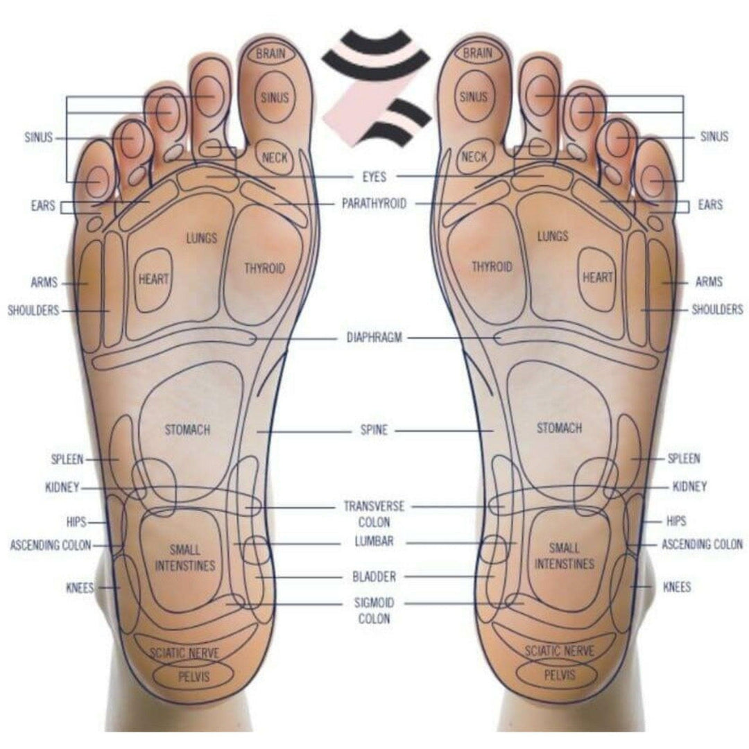 Ninja Leg Massager 2 (with Heat) - USJ 880 Daiwa Felicity Ninja Leg Massager 2 Foldable Massager with Heat