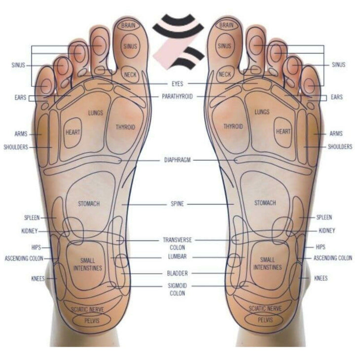 Ninja Leg Massager 2 (with Heat) - USJ 880 Daiwa Felicity Ninja Leg Massager 2 Foldable Massager with Heat