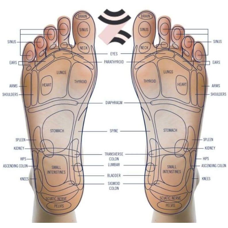 Synca REI Foot-Calf-Lumbar-Ottoman Massager