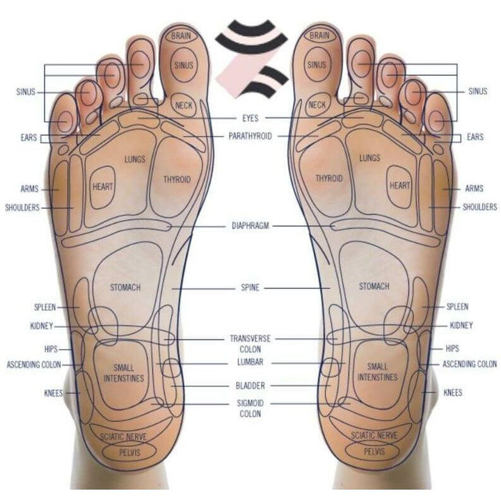 Synca REI Foot-Calf-Lumbar-Ottoman Massager